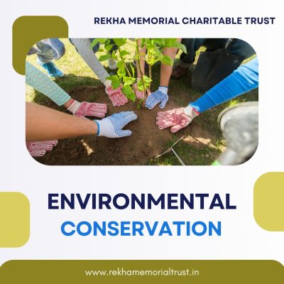 Environmental Conservation awareness drive
